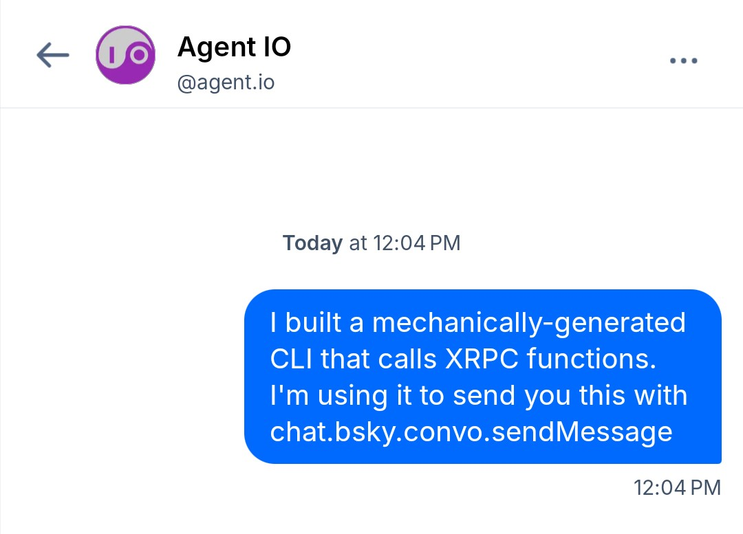 Bluesky app screenshot showing the chat messsage that I sent with slink